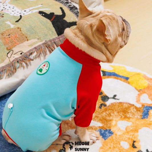 French Bulldog clothes with colorful patchwork on four paws