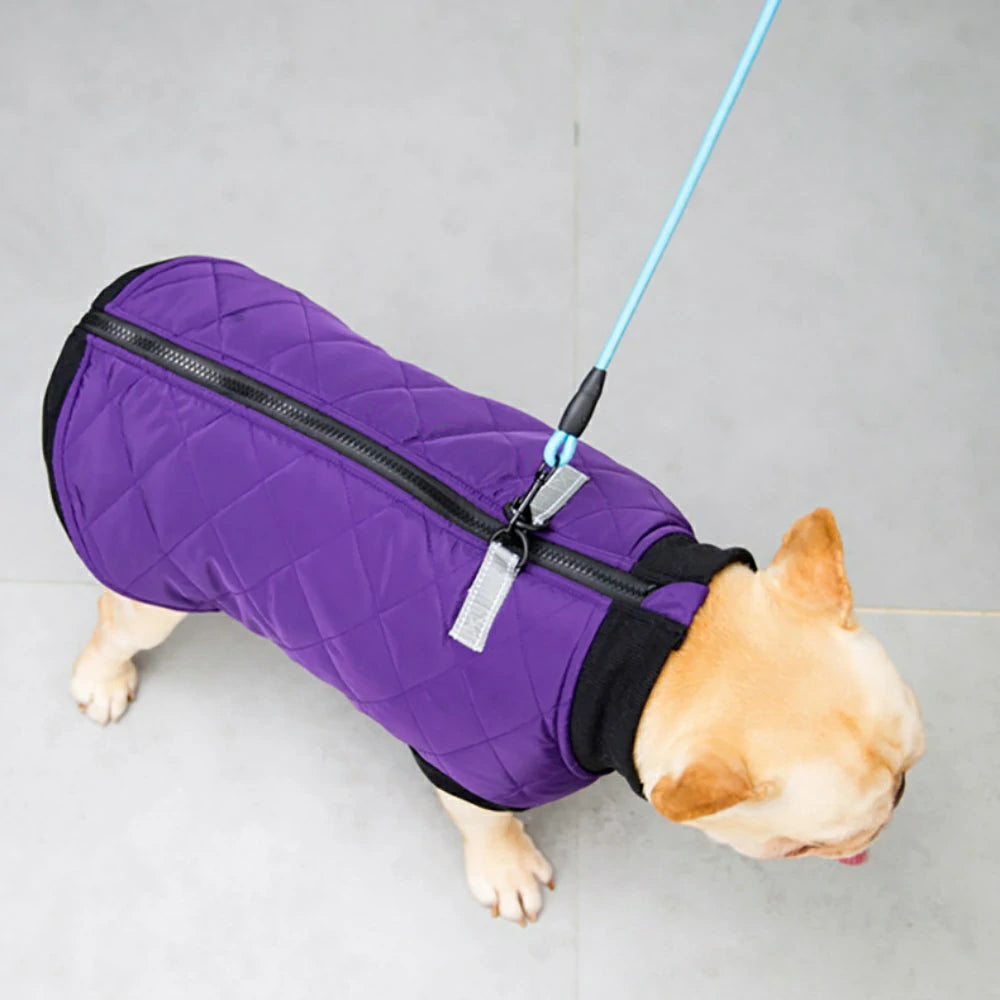 French Bulldog clothes with leash, cotton vest