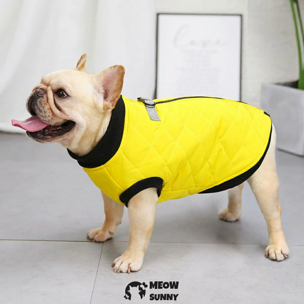 French Bulldog clothes with leash, cotton vest