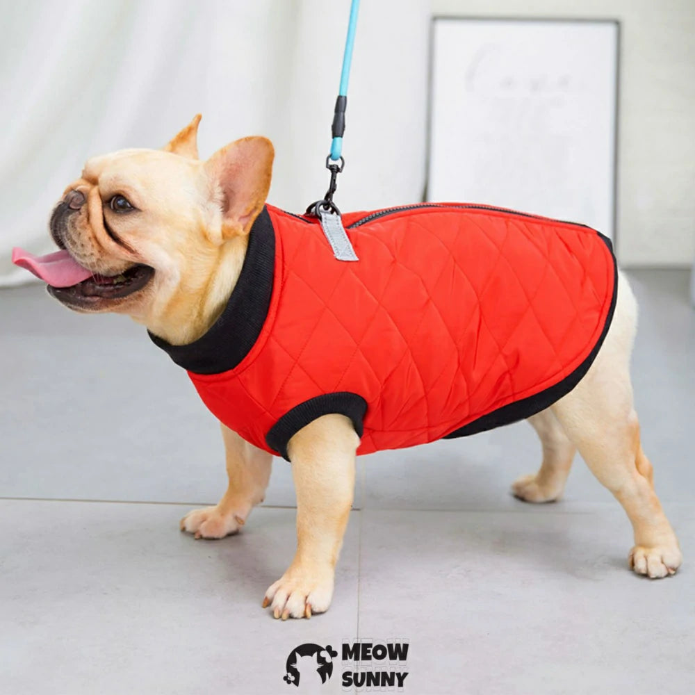 French Bulldog clothes with leash, cotton vest