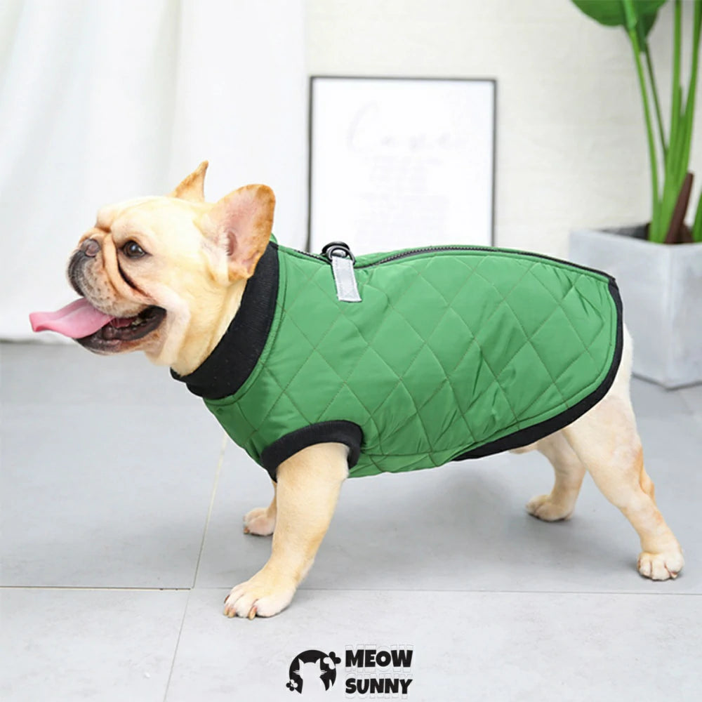French Bulldog clothes with leash, cotton vest