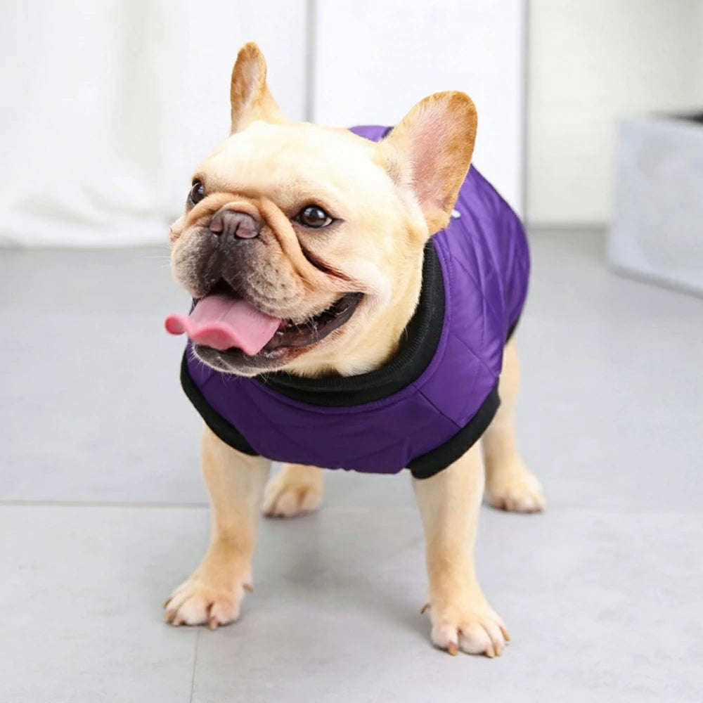 French Bulldog clothes with leash, cotton vest