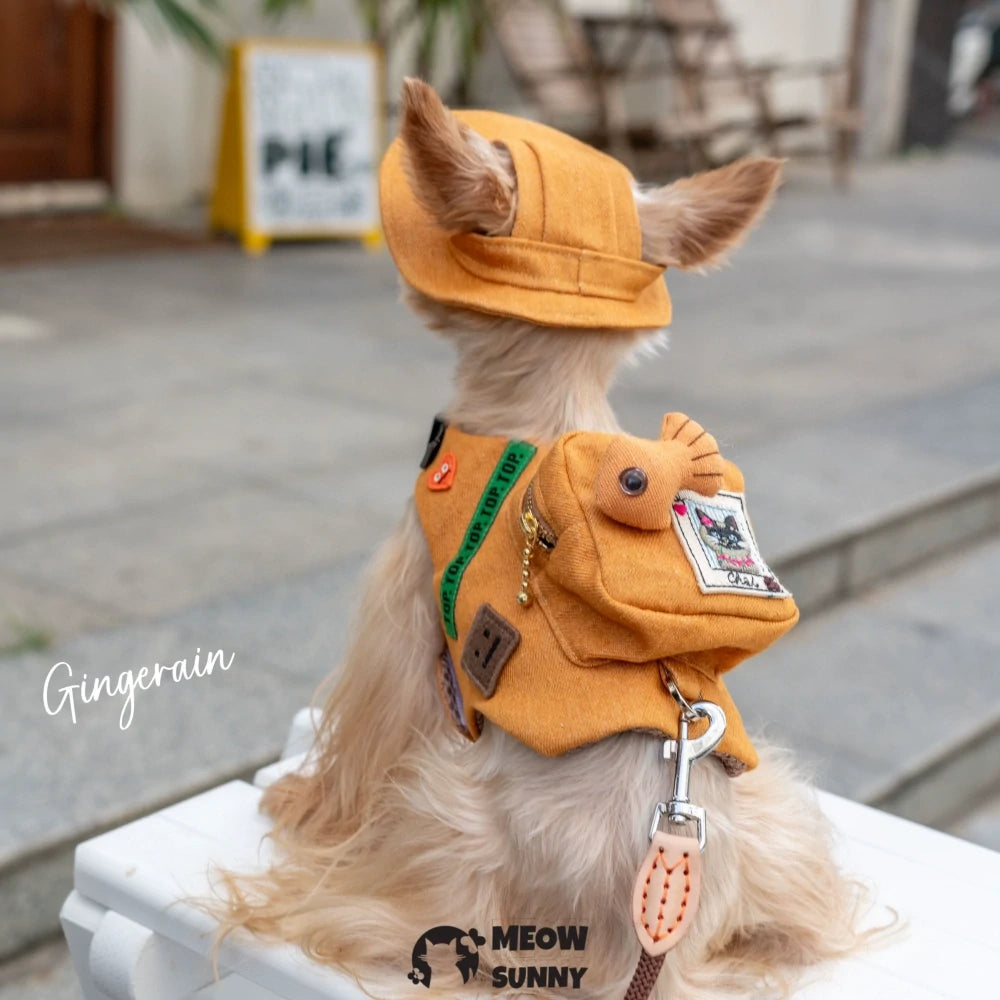 Hairless cat Breathable summer outdoor functional Orange vest with hat