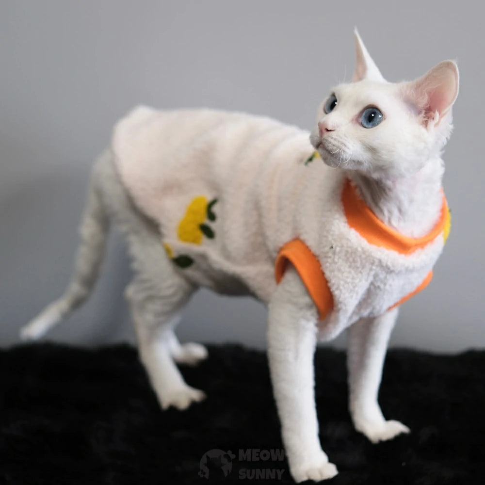 Hairless cat autumn and winter warm clothes for babies with embroidery