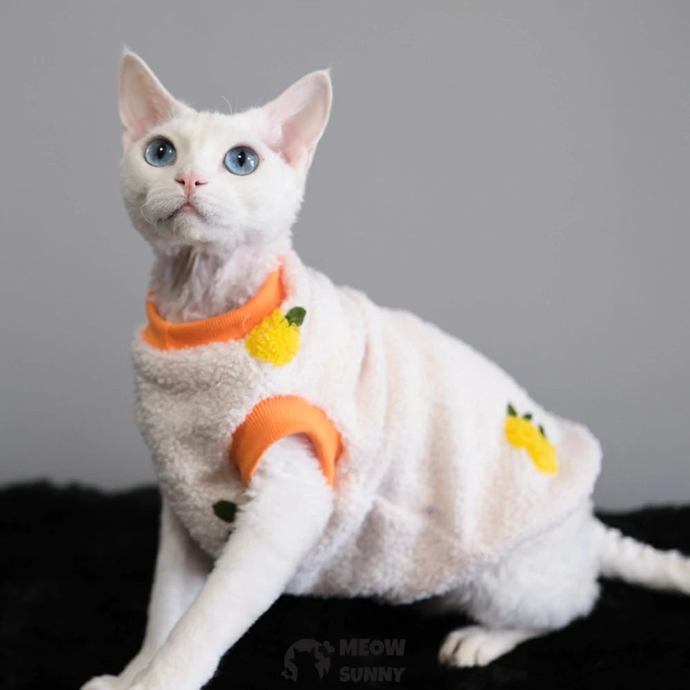 Hairless cat autumn and winter warm clothes for babies with embroidery