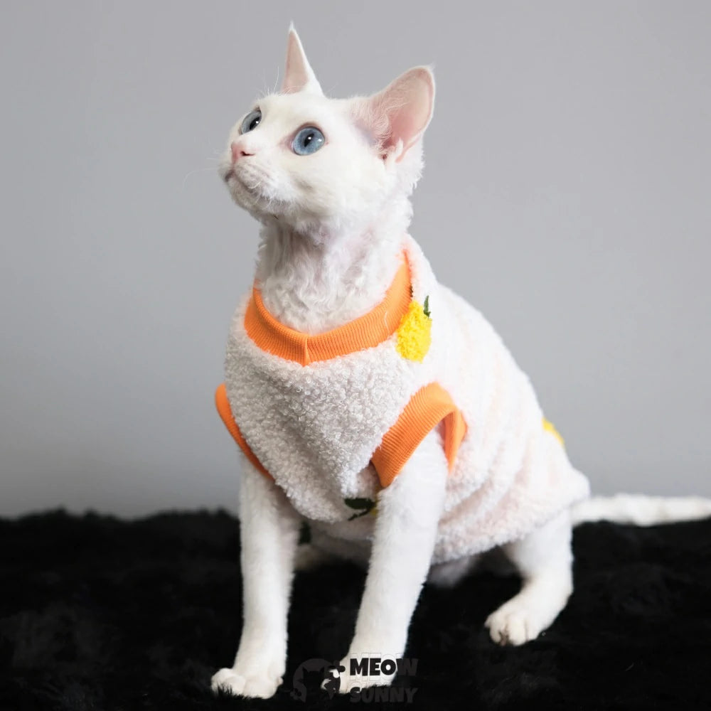 Hairless cat autumn and winter warm clothes for babies with embroidery