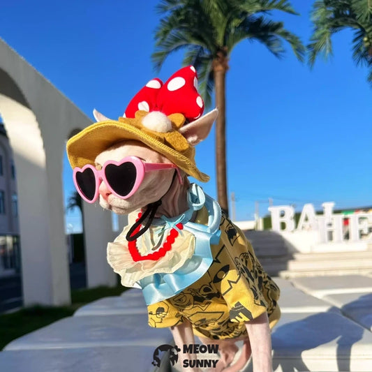 Hairless cat clothes, bibs, T-shirts, sun hats with exposed ears