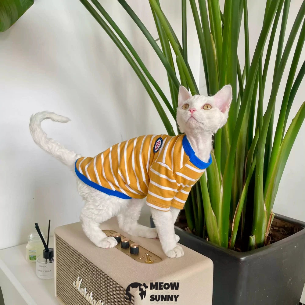 Hairless cat clothes pure cotton stripes spring and summer universal style