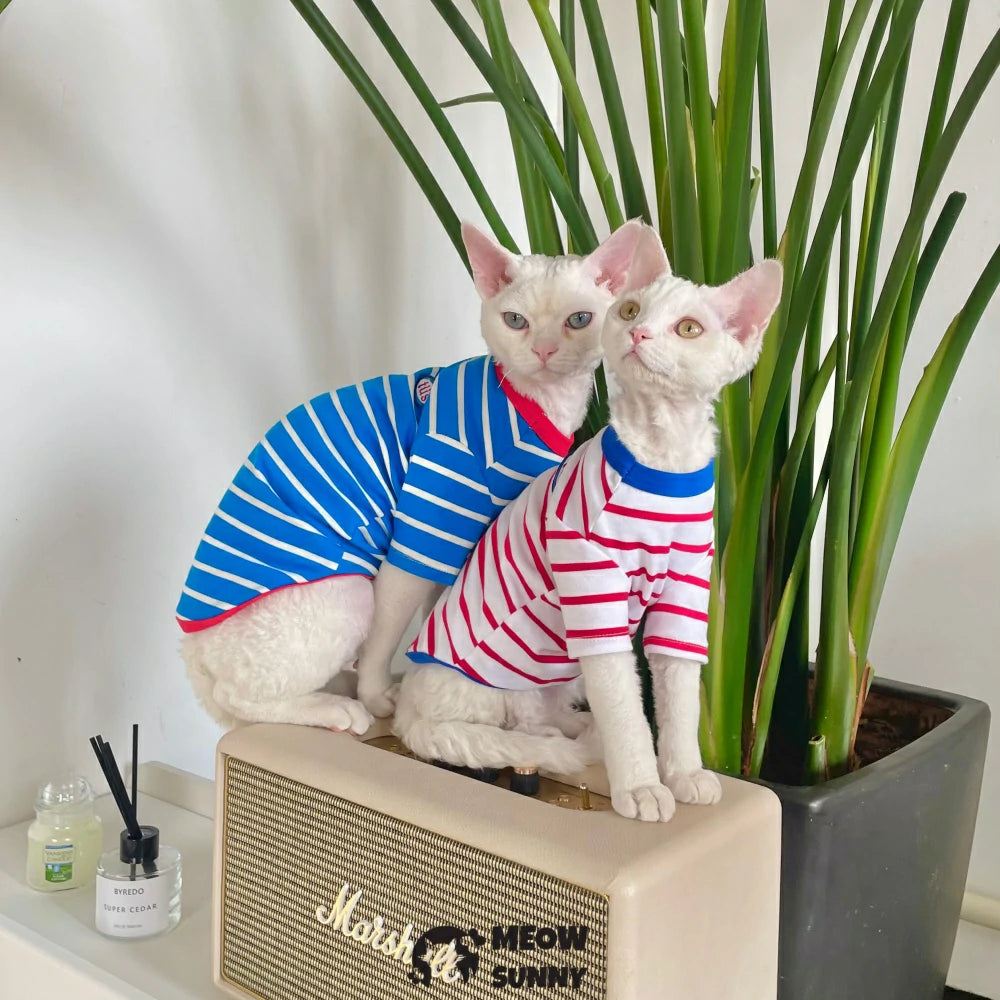 Hairless cat clothes pure cotton stripes spring and summer universal style