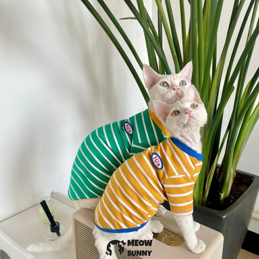 Hairless cat clothes pure cotton stripes spring and summer universal style