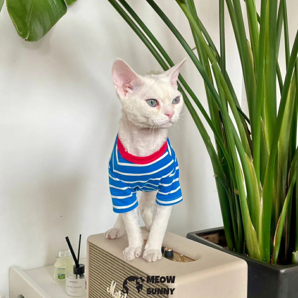 Hairless cat clothes pure cotton stripes spring and summer universal style