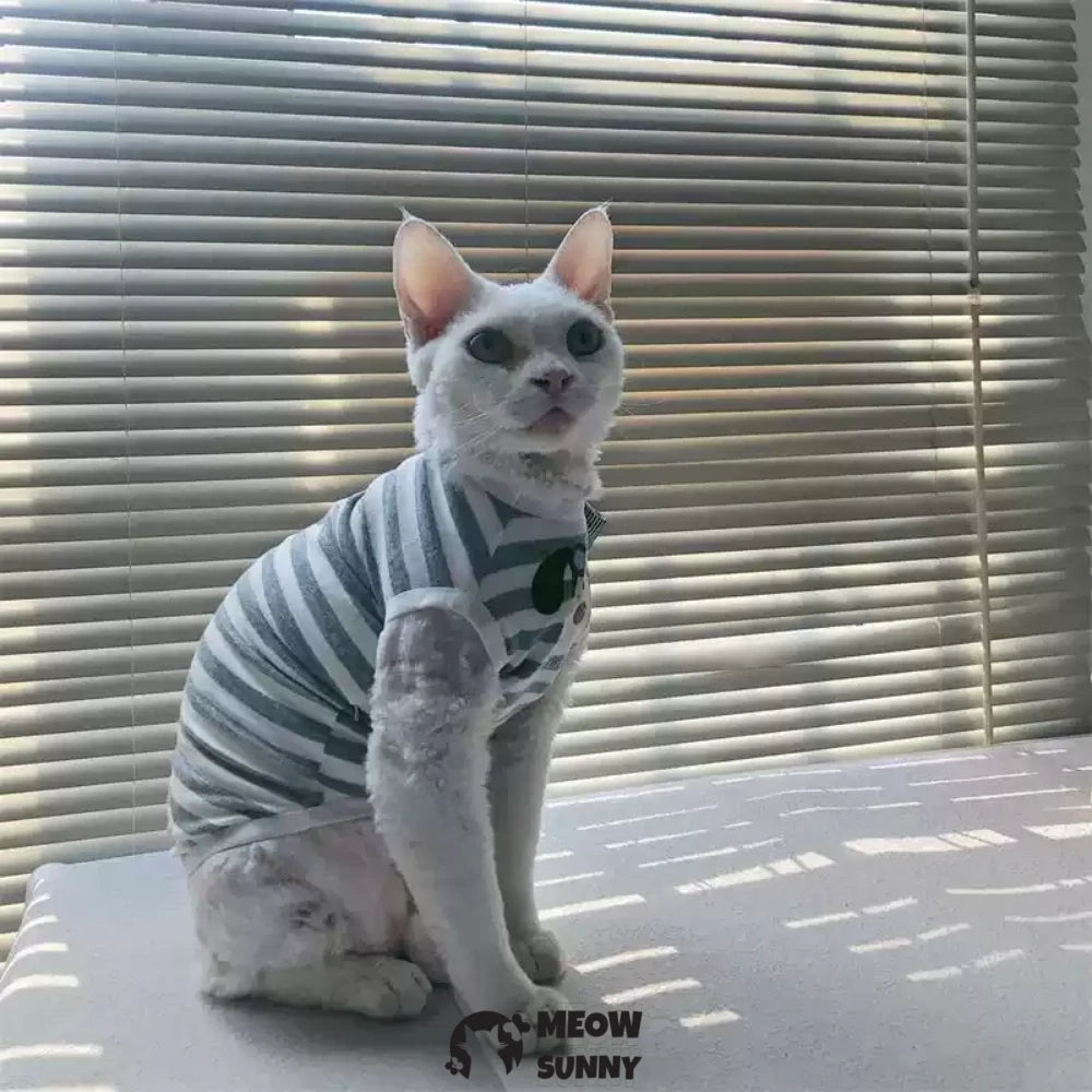 Hairless cat clothes thin style net celebrity pure cotton vest sleeveless bottoming shirt