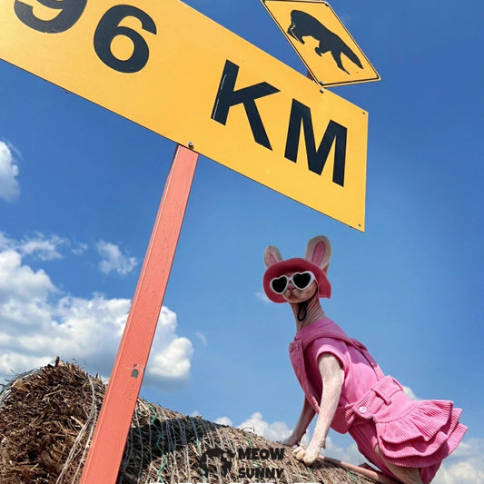 Hairless cat pink overalls skirt, bunny ear hat, and pure cotton vest