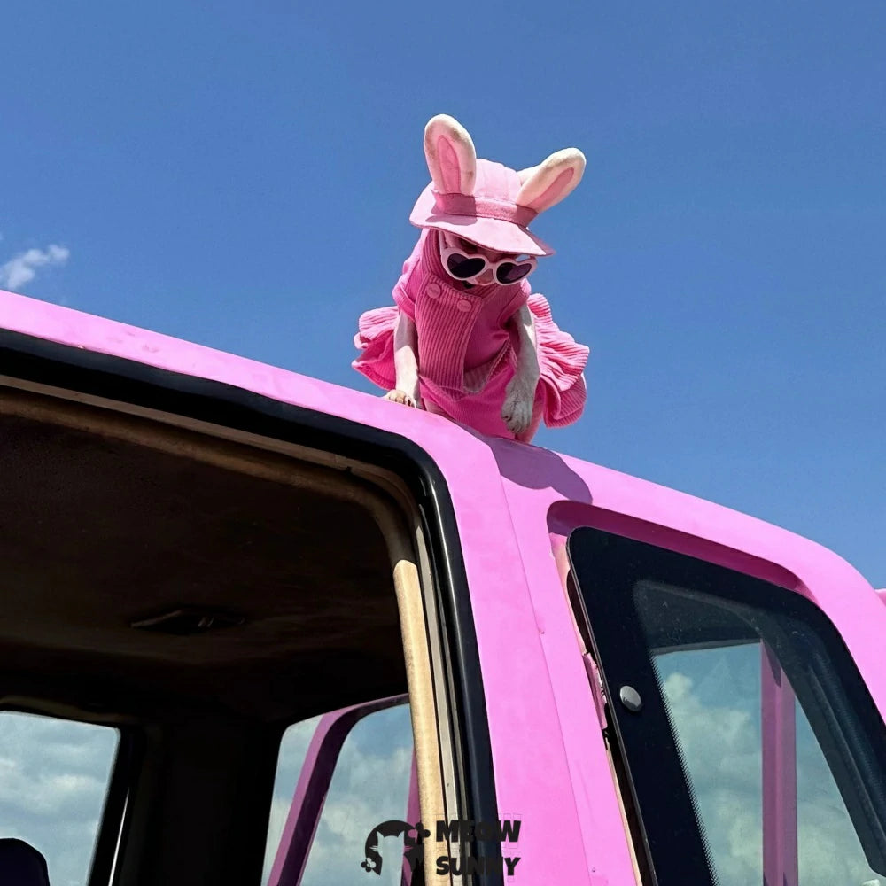 Hairless cat pink overalls skirt, bunny ear hat, and pure cotton vest