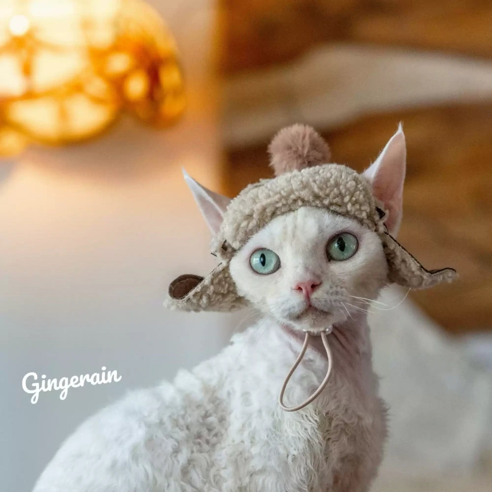 Hairless cat pure cotton velvet blue vest sweatshirt