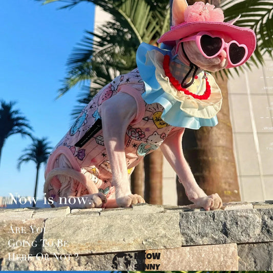 Hairless cat summer pure cotton thin clothes cute dopamine pink sun hat