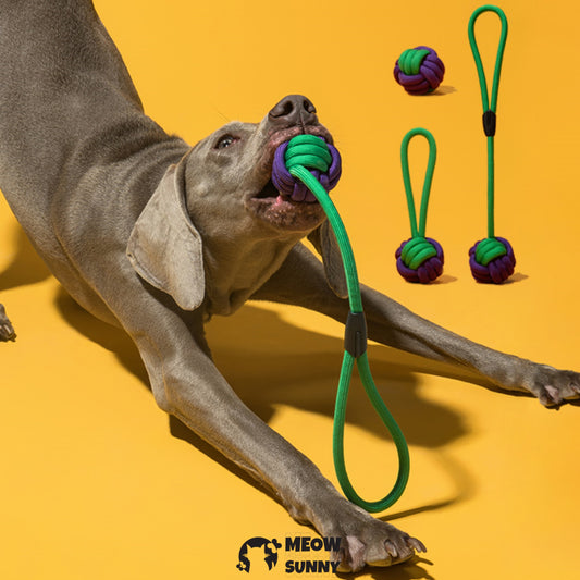 Heavy Duty Dog Rope Toys for Aggressive Chewers
