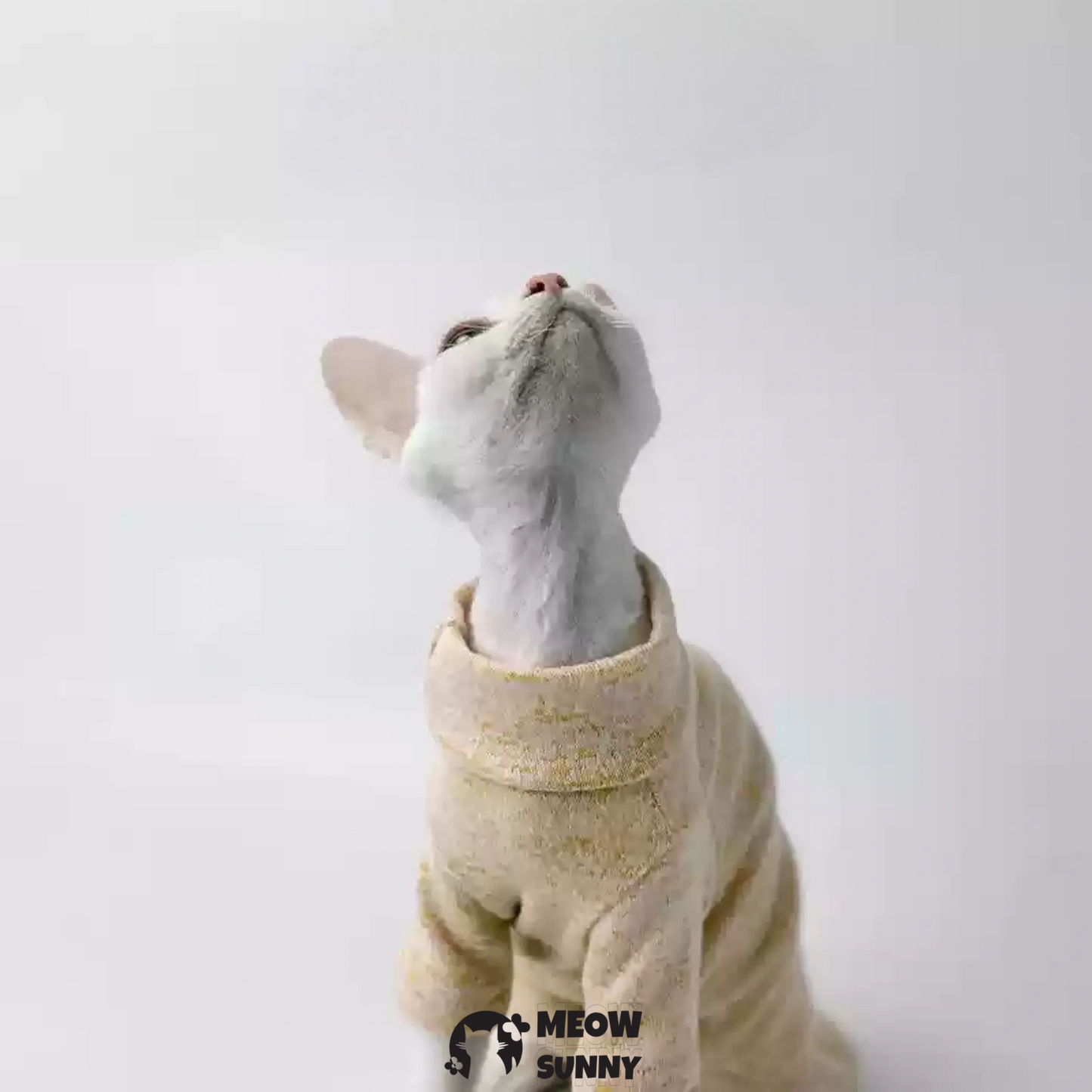 Ribbed Henley Dog & Cat T-Shirt, Small