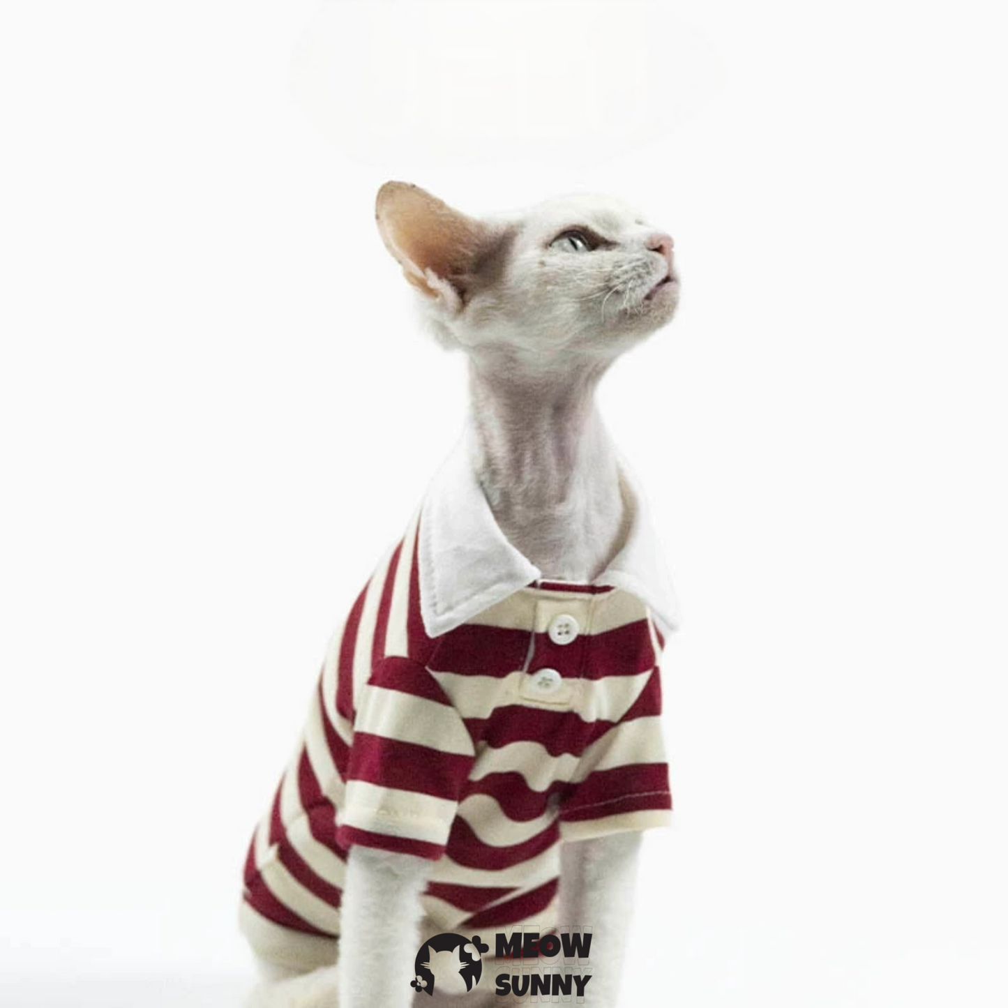 Fashion Striped Dog & Cat Hoodie, Small
