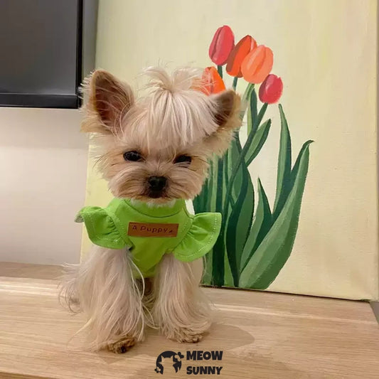 Lace-trimmed flutter-sleeve vest, dog-themed clothing with a nice texture.