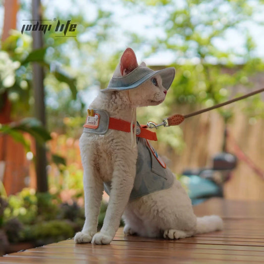 Light blue denim with cat cartoon patch and chest leash set including hat