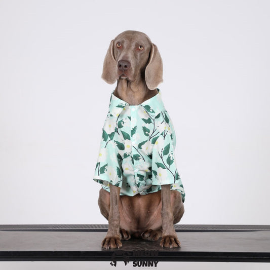 Pet Clothing Breathable and Cool Beach Style Big Dog Boy and Girl Shirt