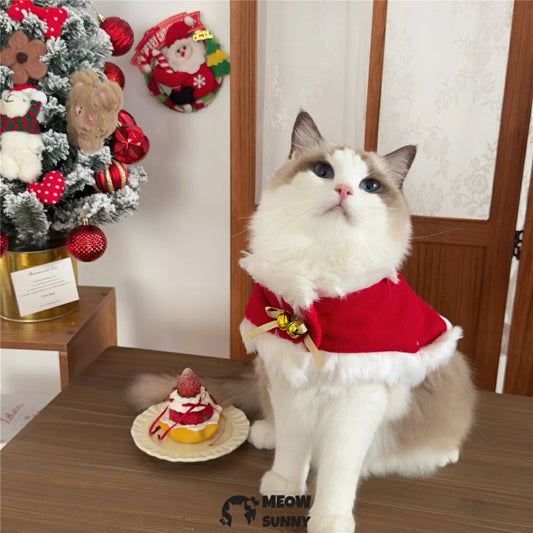 Pet cat Christmas clothes, warm winter outfits for kittens.