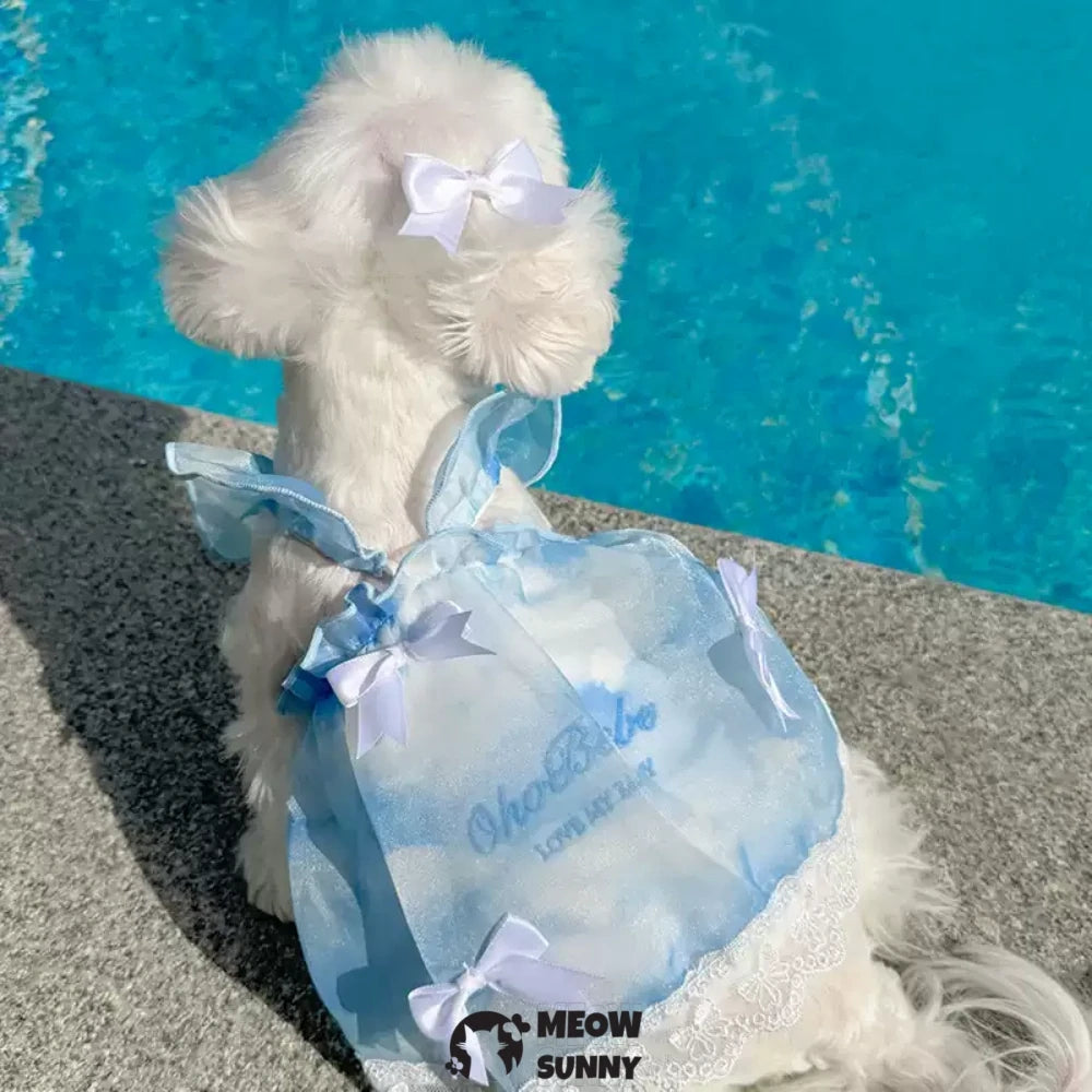 Pet clothes, double-layered thin lace sky princess dress/skirt