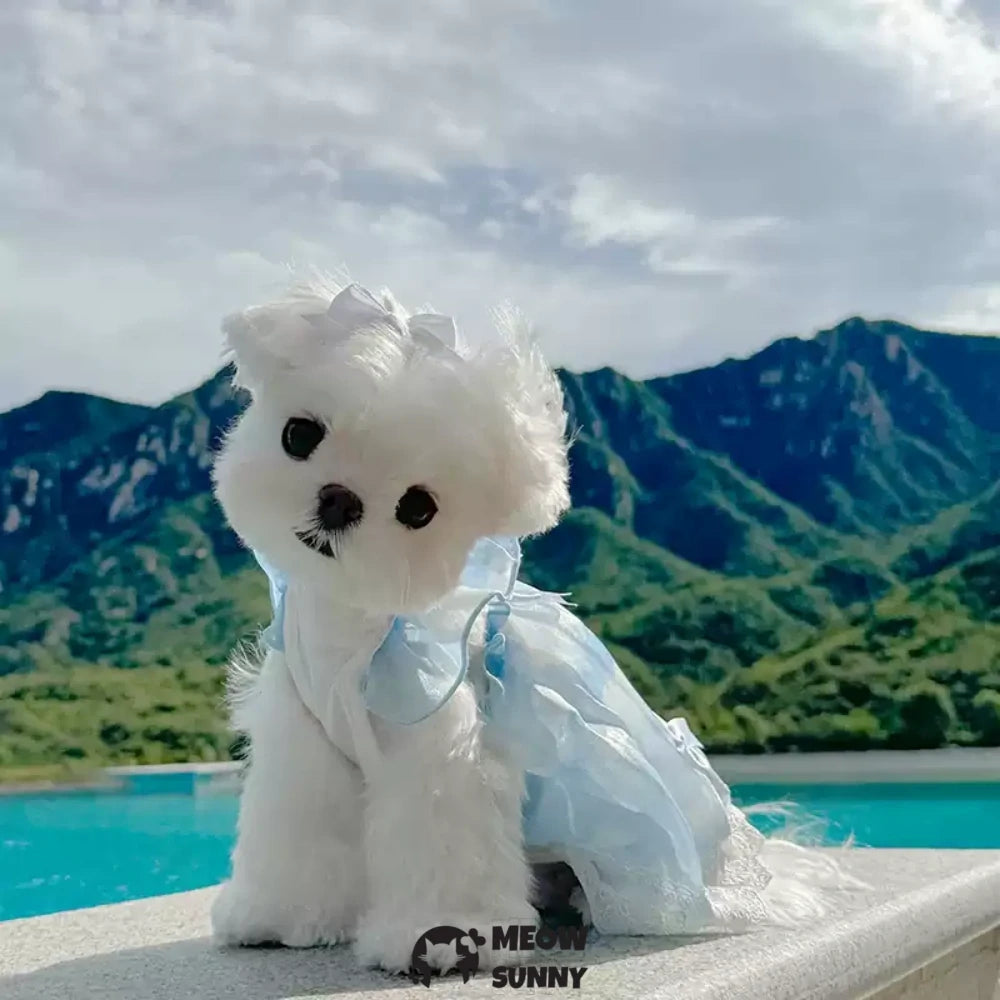 Pet clothes, double-layered thin lace sky princess dress/skirt