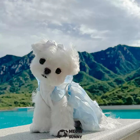 Pet clothes, double-layered thin lace sky princess dress/skirt