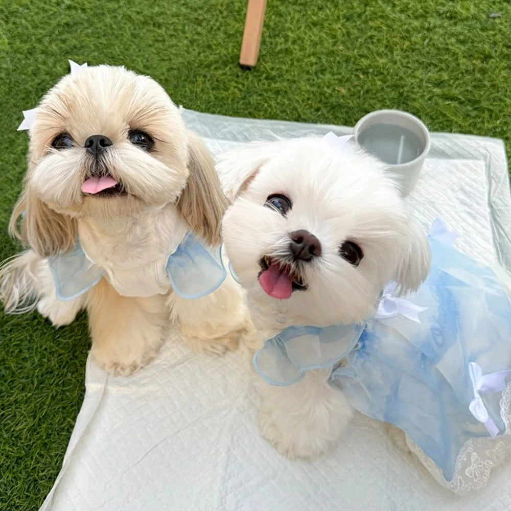 Pet clothes, double-layered thin lace sky princess dress/skirt