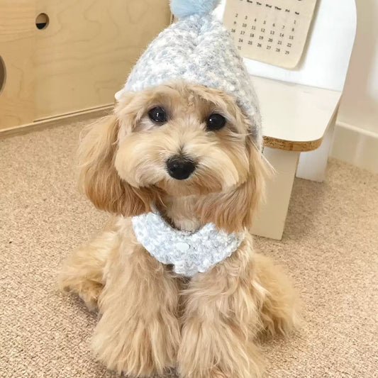 Pet clothes, hooded vest for small dogs and puppies.