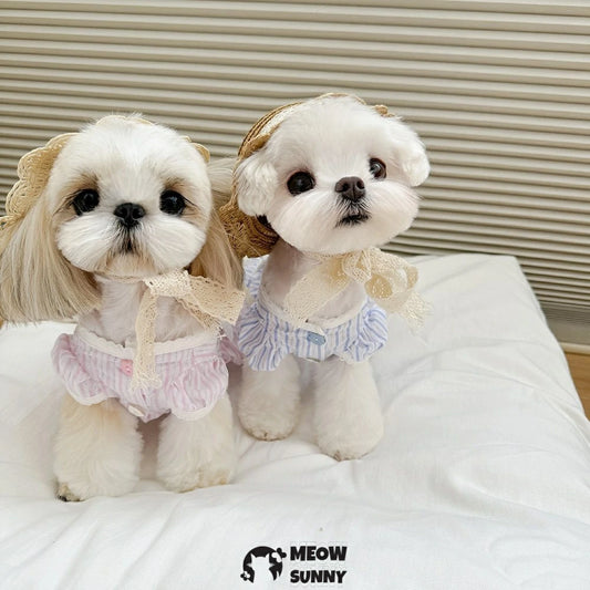 Pet clothes, summer princess sleeve pumpkin dress, bubble skirt for small dogs, thin shirt.