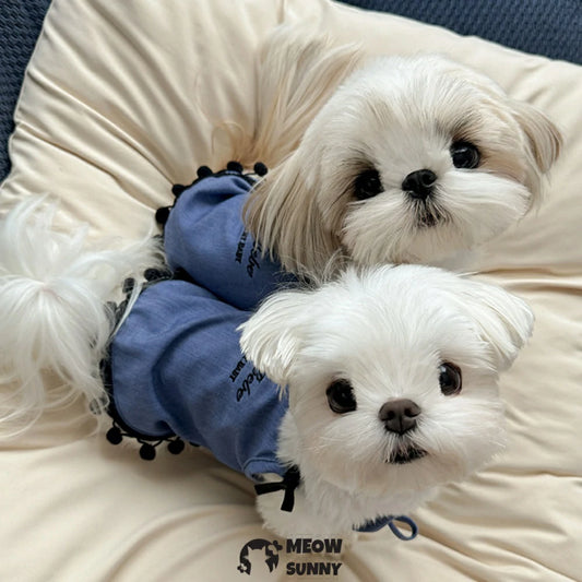Pet clothes for small dogs: Vintage style, stretchy denim overalls for Maltese and Shih Tzu breeds, cute design.