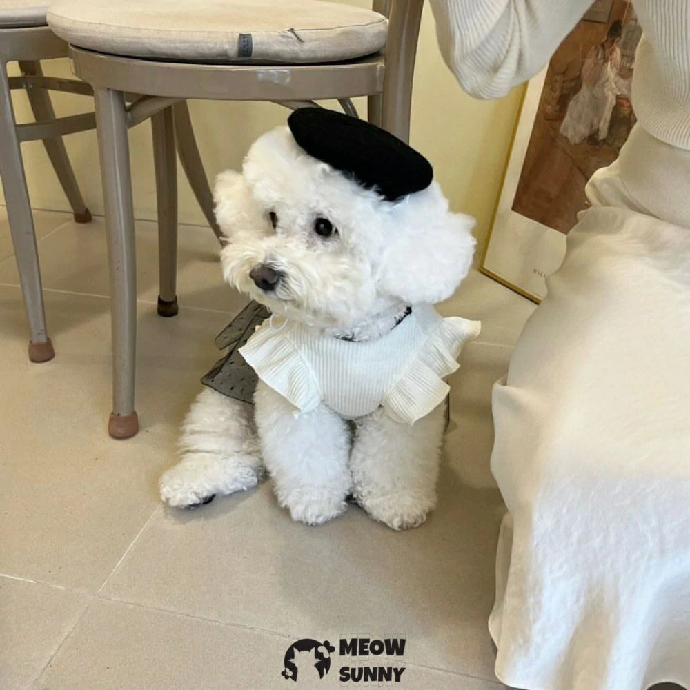 Pet dog clothes: Retro-style couple's outfits with bowknot dresses.