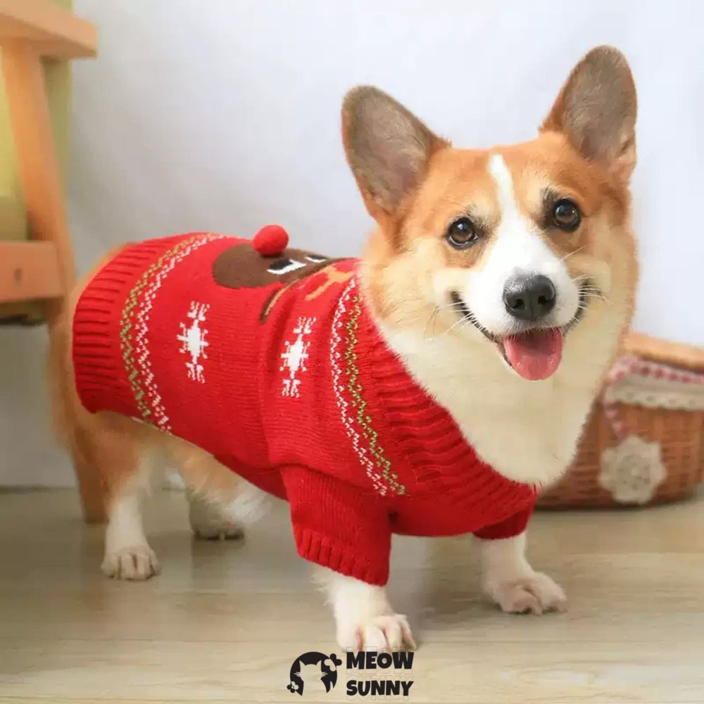 Pet dog clothes knitted sweater corgi french bulldog new year style