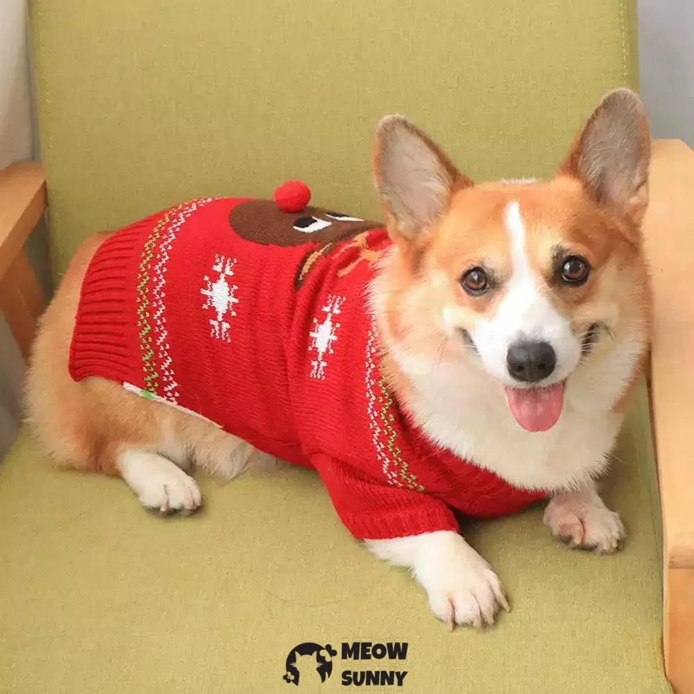 Pet dog clothes knitted sweater corgi french bulldog new year style