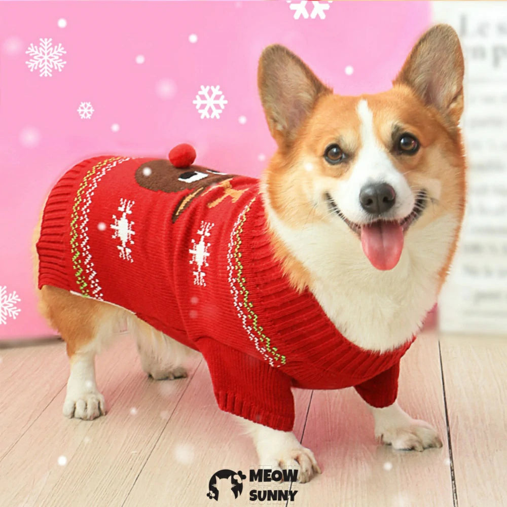Pet dog clothes knitted sweater corgi french bulldog new year style