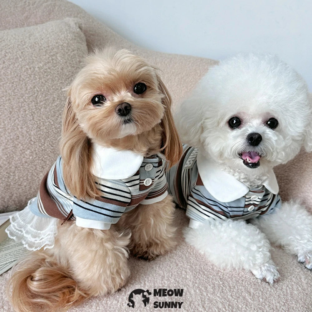 Pet polo striped T-shirt, pure cotton base layer T-shirt dress, dog clothes.