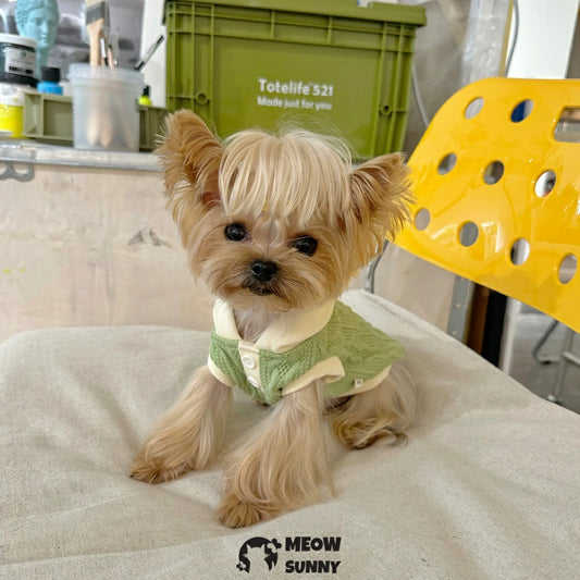 Pet pullover stretch sleeveless hoodie for dogs