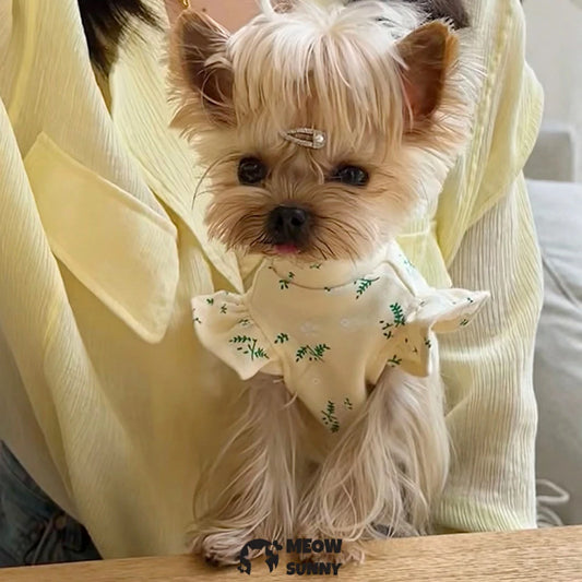 Printed flutter sleeve lace vest dog clothes