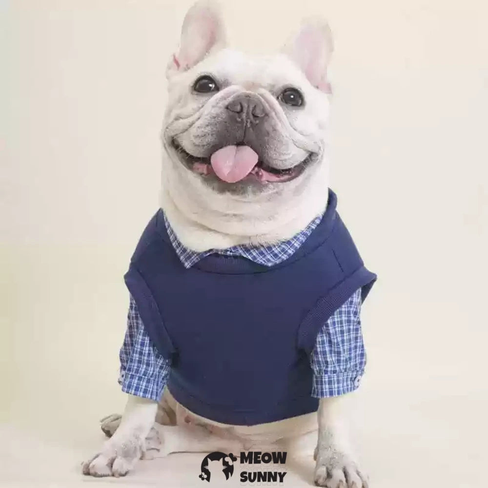 Puppy Clothes Autumn and Winter Fake Two-Piece Sweatshirt