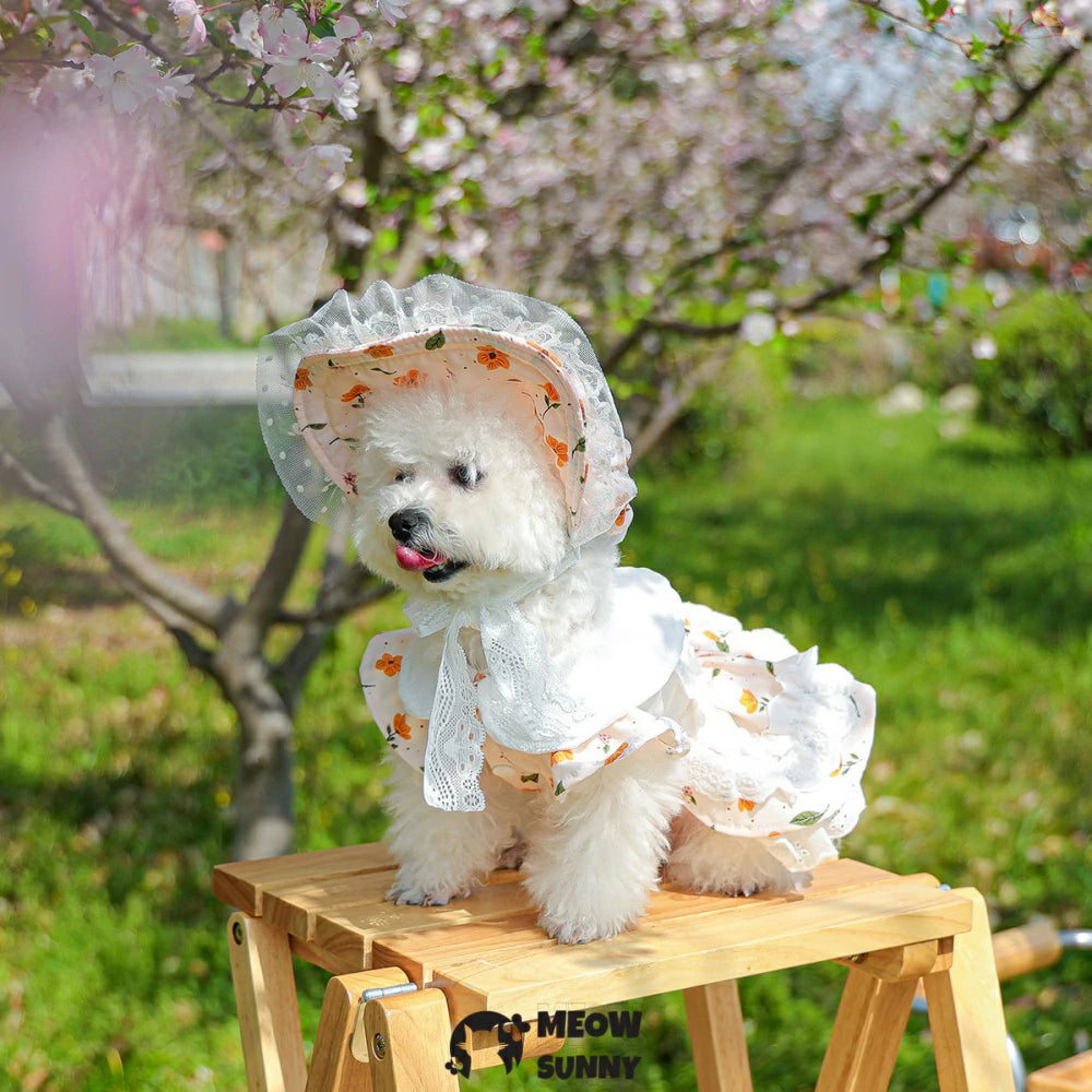 Puppy Vintage Princess Tea Party Floral Dress