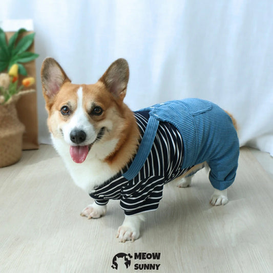 Puppy clothes Corgi winter warm overalls set