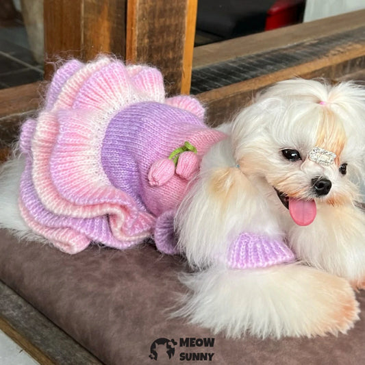 Puppy clothes autumn and winter gradient color flower sweater