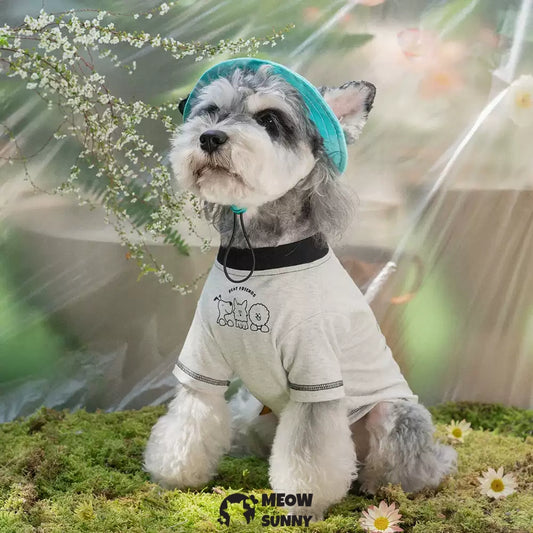 Puppy friend summer thin dog comfortable fashion T-shirt