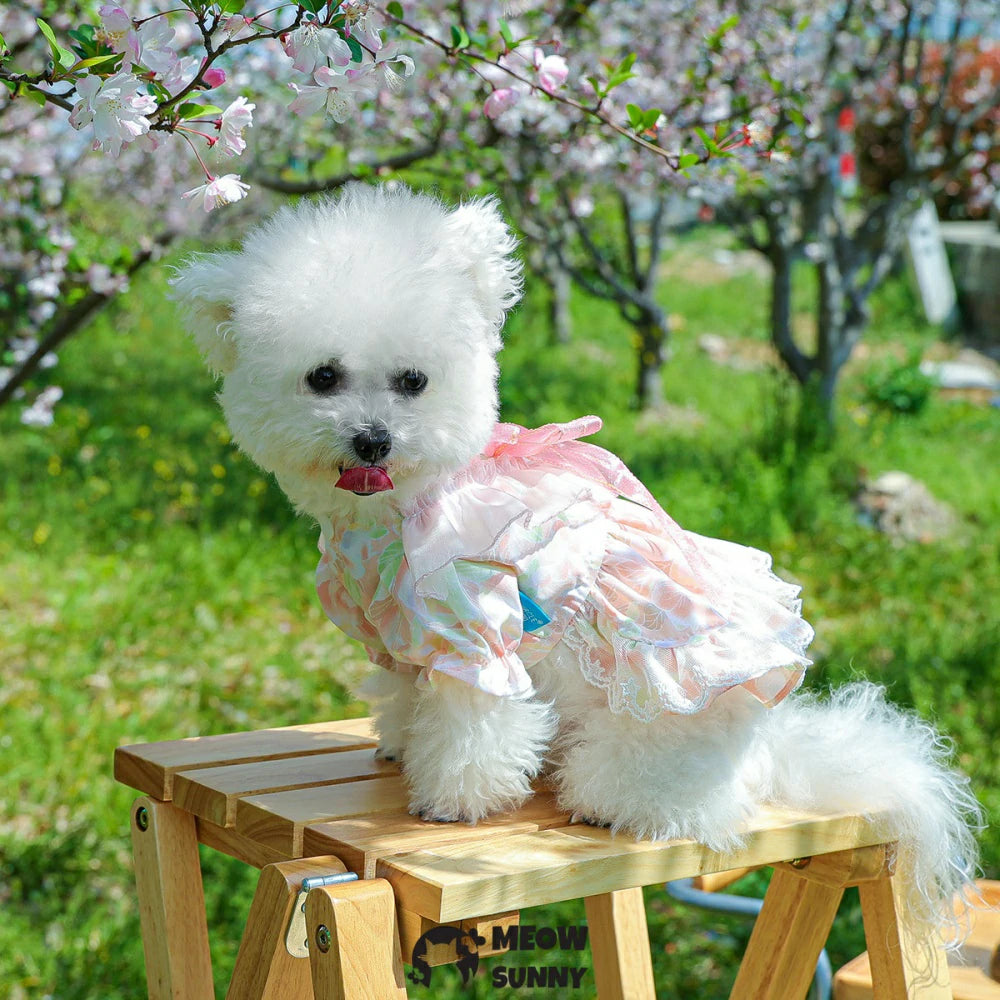 Puppy soft skin-friendly big bow lace princess dress