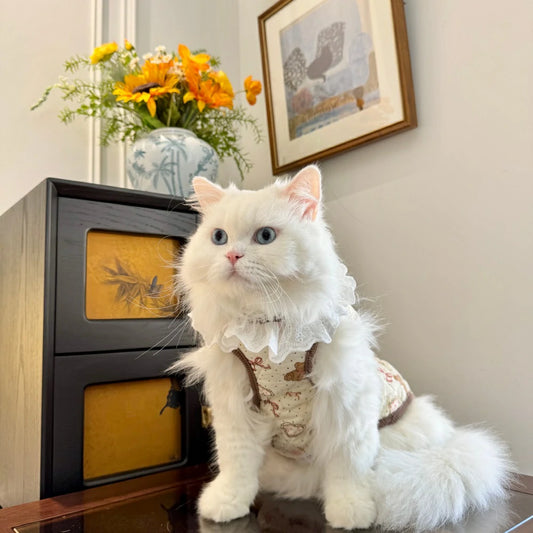 Pure cotton anti-static warm cat clothes/kitten vest