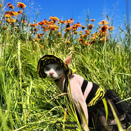 Cat hairless cat sexy zebra pattern pure cotton exposed ear sunscreen