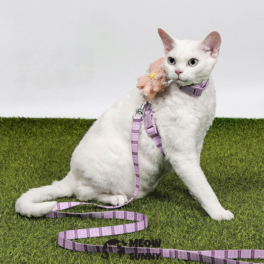 PetSafe Come with Me Kitty Nylon Cat Harness & Bungee Leash, Lilac/Yellow, Medium: 5to 18 in chest